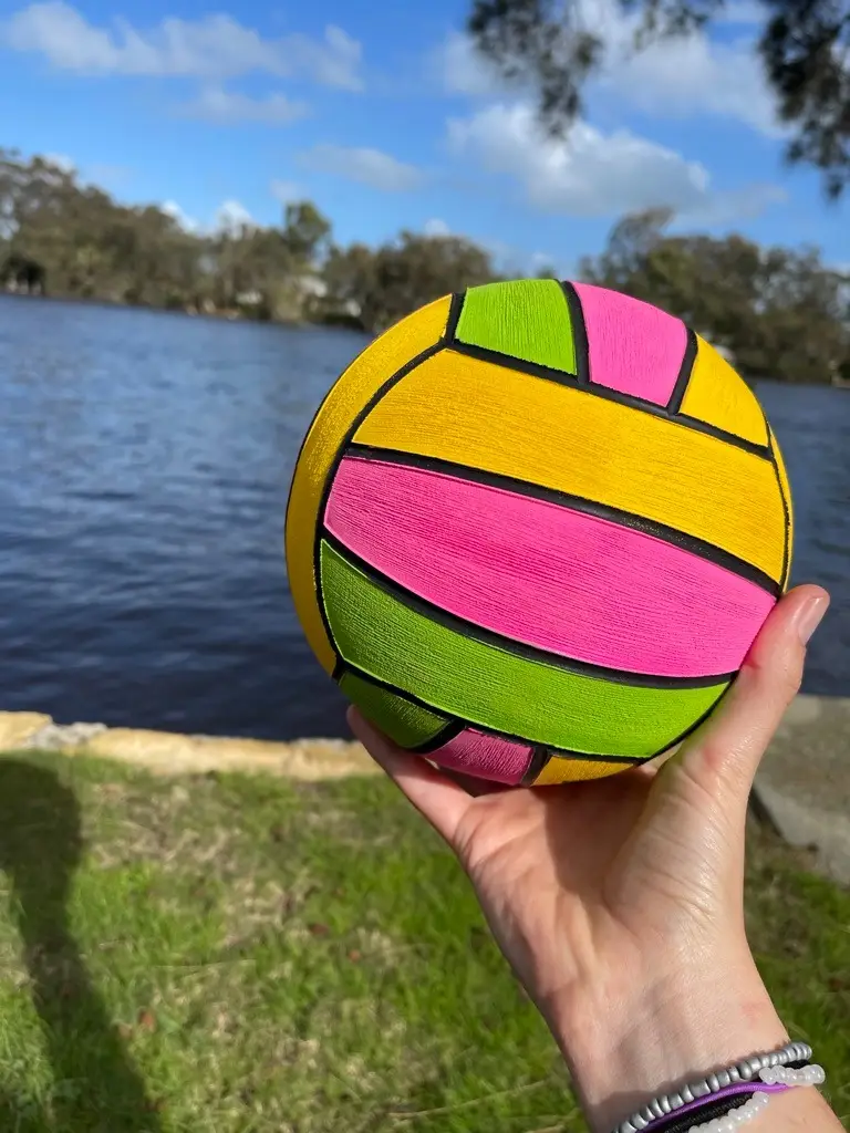 Size 5 Panel Ball
